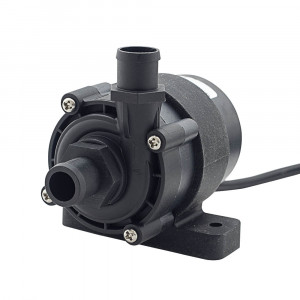 BL10CM 24V